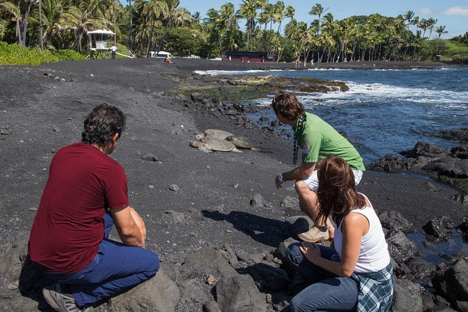 Big Island in a Day: Volcanoes Waterfalls Sightseeing and History - Tour Departures and Operations