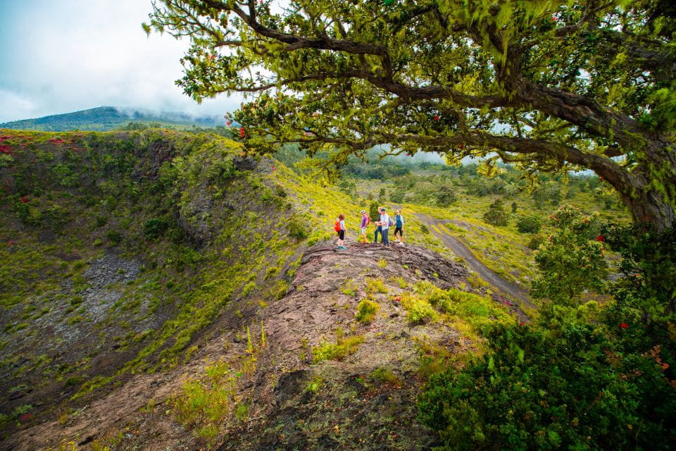 Big Island: Off the Beaten Path Volcano Crater Hike - Frequently Asked Questions