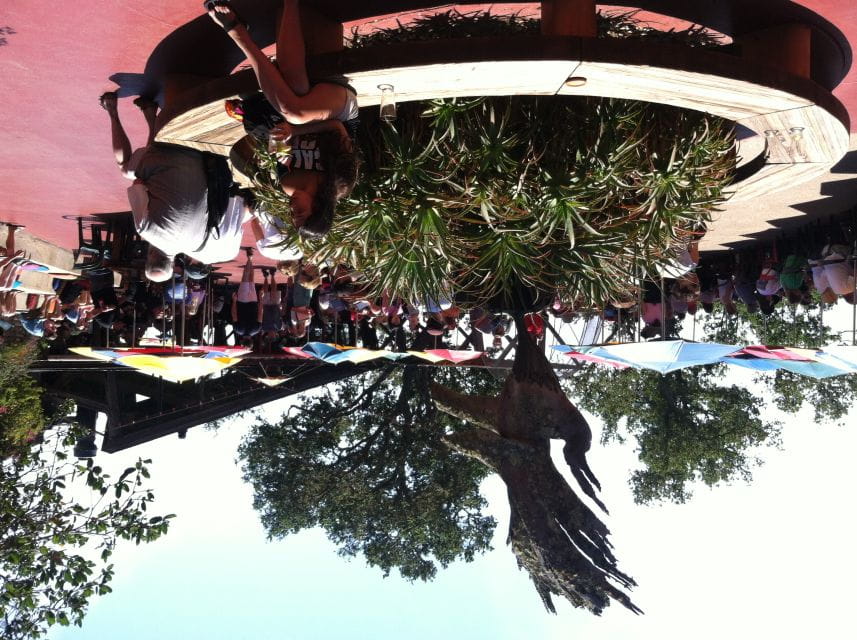 Big Sur: Sightseeing Tour With 4 to 5 Stops - Important Restrictions