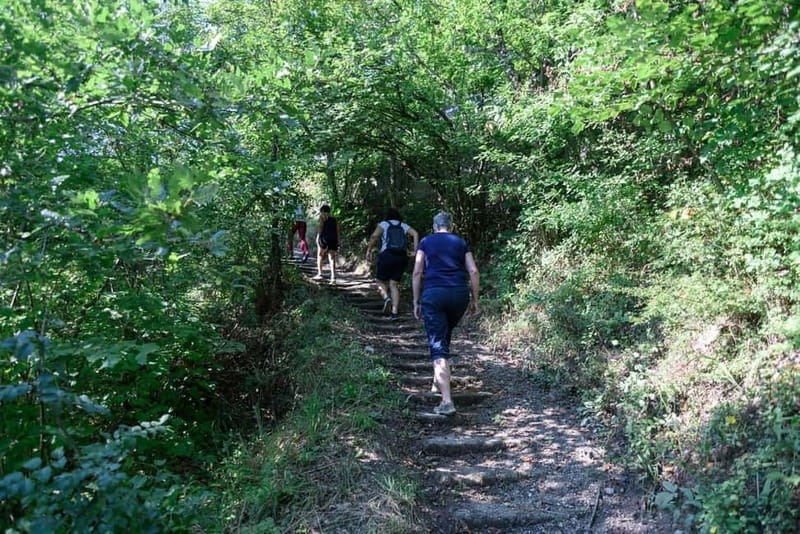 Bigorski Monastery and Duff Waterfalls from Ohrid and Struga - Price and Logistics: Assessing the Value