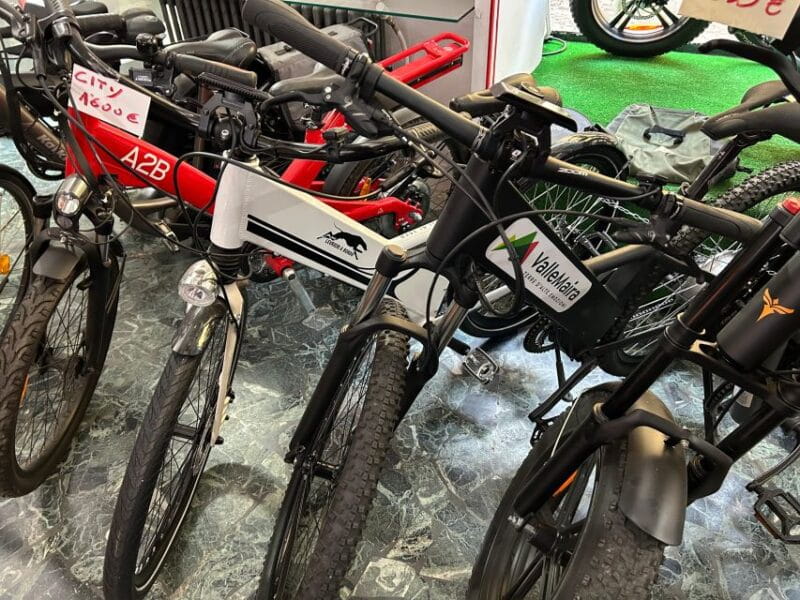 bike, ebike tandem rent - Why Rent a Bike or E-bike in Turin?