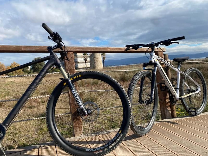 Bike rental: Port of Cagliari, Su Siccu, Nervi Park, Molentargius - Discovering Cagliari on Two Wheels: A Practical and Enjoyable Approach