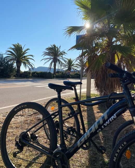 Bike rental: Port of Cagliari, Su Siccu, Nervi Park, Molentargius - Final Thoughts