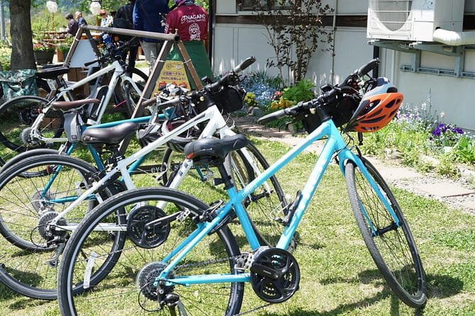 Bike Rentals in Nagano to Explore Snow Monkey Park. - Tips for a Memorable Experience