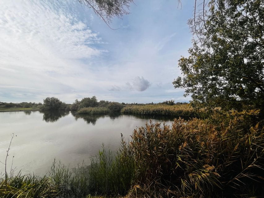 Bike Ride in Els Aigamolls Del Empordà - Inclusions for Participants