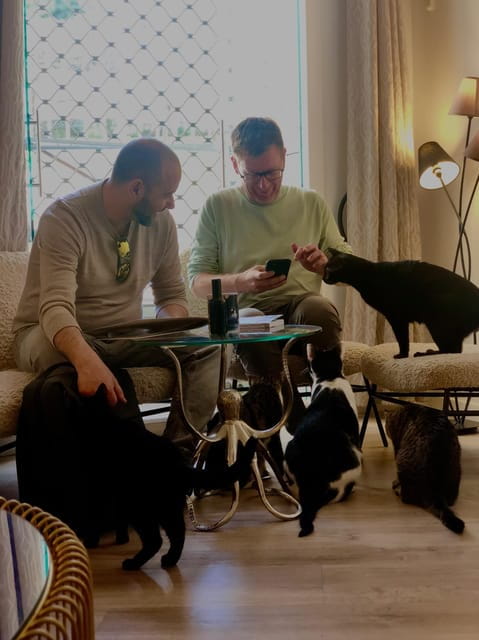 Bilbao: 30-Minute Entry Ticket to a Cat Café - The 30-Minute Experience: What You Will Do
