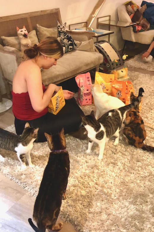 Bilbao: 30-Minute Entry Ticket to a Cat Café - Food, Drinks, and Additional Offerings