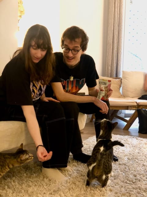 Bilbao: 30-Minute Entry Ticket to a Cat Café - The Impact of Your Visit: Supporting Rescue Cats