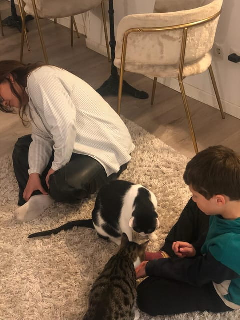 Bilbao: 30-Minute Entry Ticket to a Cat Café - The Sum Up: Is It Worth It?