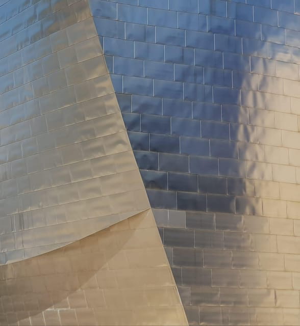 Bilbao City Tour From San Sebastian - Things To Know