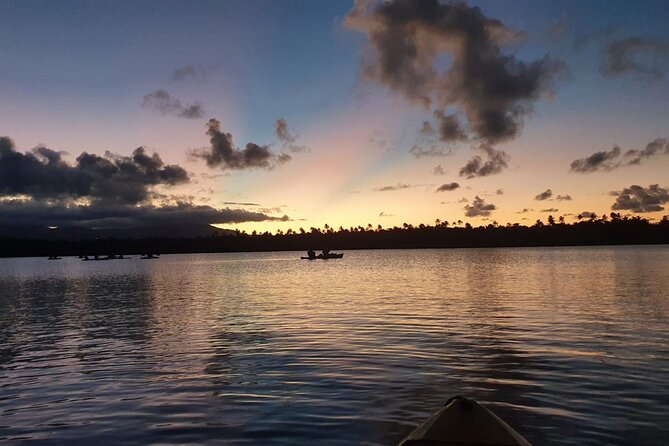 Bio Bay Night Kayaking | Laguna Grande, Fajardo - Additional Information