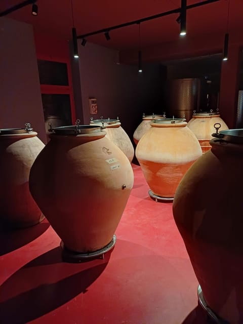 Biodynamics vineyard tour and tasting at Al di là del Fiume - Key Points / Takeaways