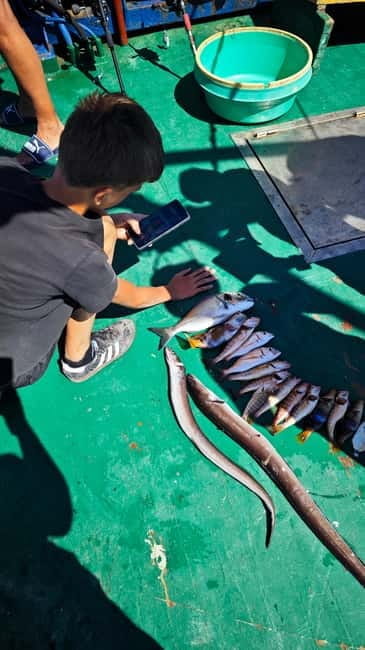 Biograd: Authentic Fishing Tour in Croatia. Kids Love This! - The Fish Lunch: A Fresh, Local Feast