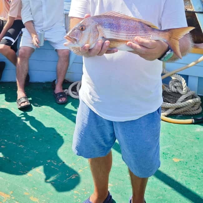Biograd: Authentic Fishing Tour in Croatia. Kids Love This! - Who Would Enjoy This Tour?