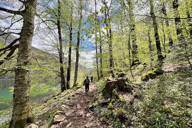 Biogradska Gora National Park Tour with Optional Add-Ons - Practical Details: What to Expect