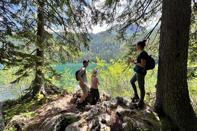 Biogradska Gora National Park Tour with Optional Add-Ons - Who This Tour Is Best For
