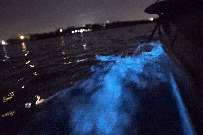 Bioluminescence Kayak Tour - Whats Included