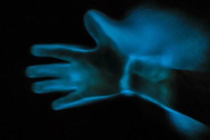 Bioluminescence Kayak Tour - Safety Measures