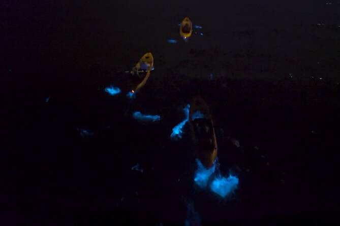 Bioluminescence Kayak Tour - What to Bring