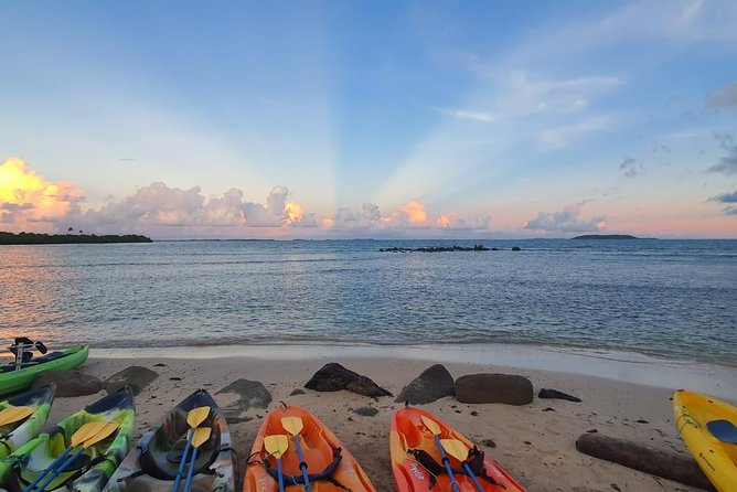 Bioluminescent Bay Night Kayaking | 7:30pm - Health and Safety Considerations