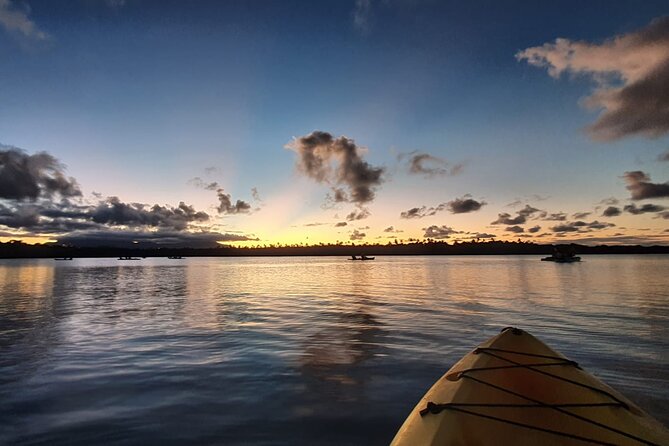 Bioluminescent Bay Night Kayaking Tour in Laguna Grande Fajardo - Meeting and End Point