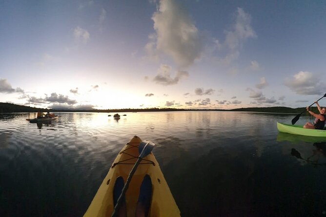 Bioluminescent Bay Night Kayaking Tour in Laguna Grande Fajardo - Wheelchair Accessibility