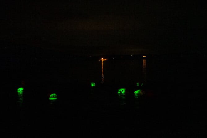 Bioluminescent Swim Experience in West Cork with Storytelling - Key Points