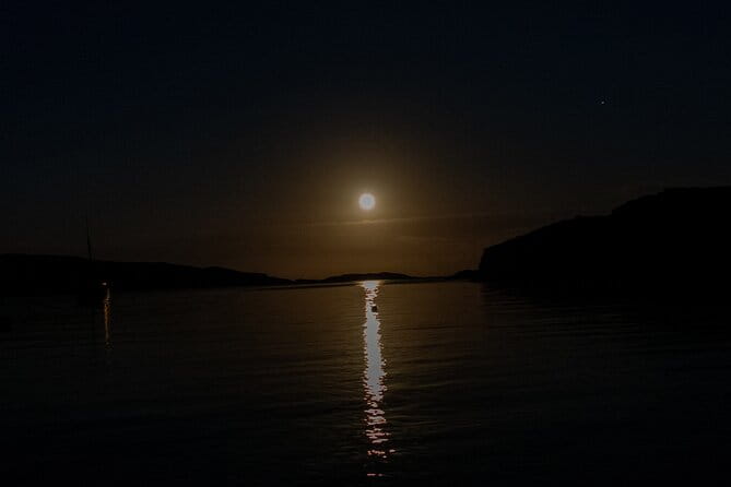 Bioluminescent Swim Experience in West Cork with Storytelling - In-depth Review of the Bioluminescent Swim Experience
