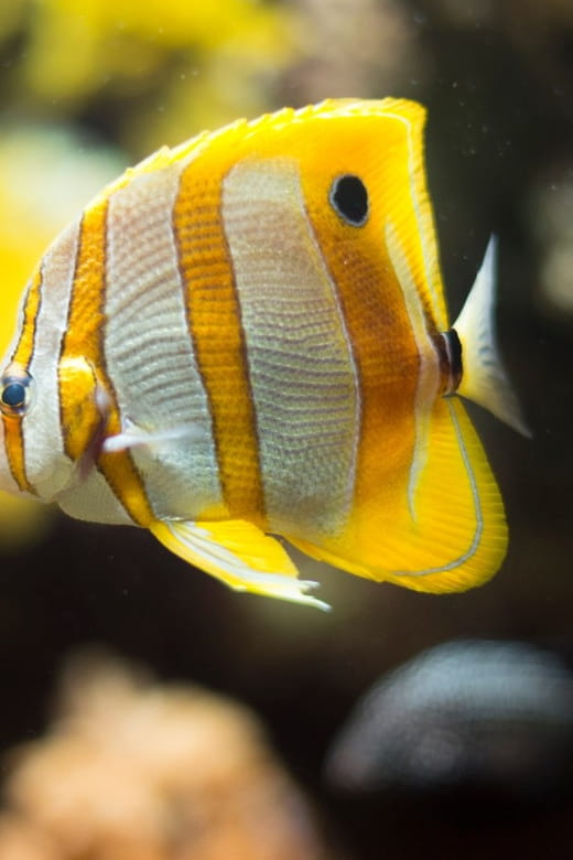 Bioparc Aquarium of Gijon Entry Ticket - Setting the Scene: An Aquarium Designed for All Ages