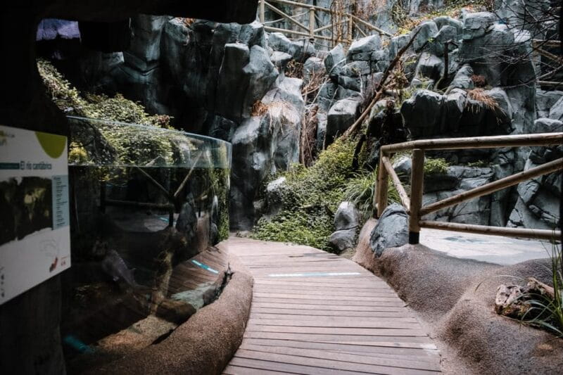 Bioparc Aquarium of Gijon Entry Ticket - FAQ