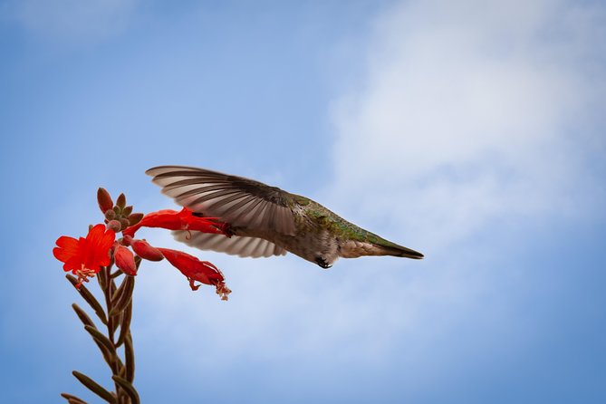 Bird Sanctuaries Tour - Booking Information