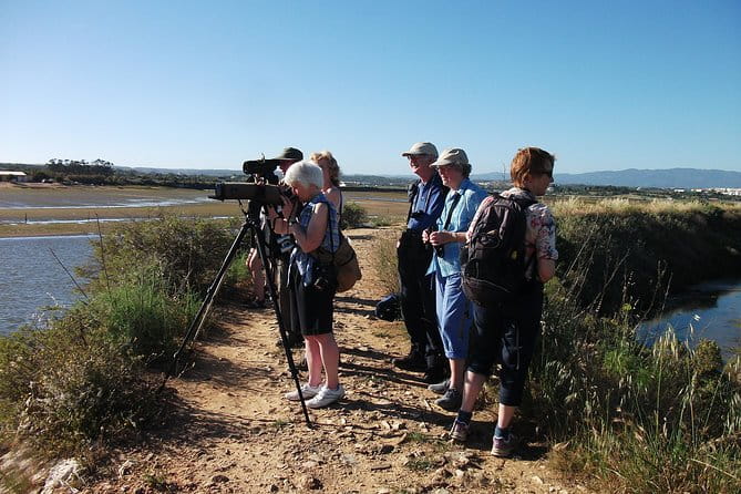 Birdwatching at Ria de Alvor - Key points / Takeaways