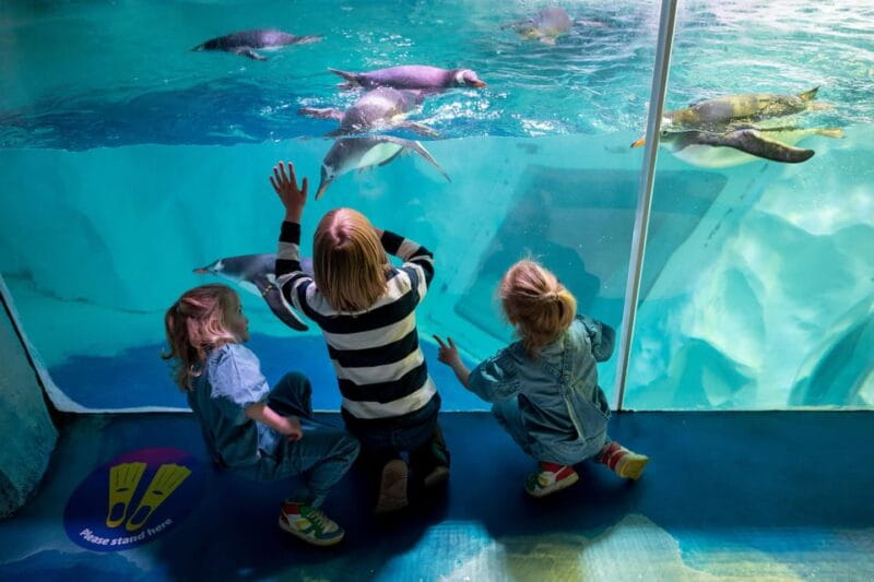 Birmingham: Cadbury World + SEA LIFE + LEGOLAND Discovery - Who Will Enjoy This Experience Most?