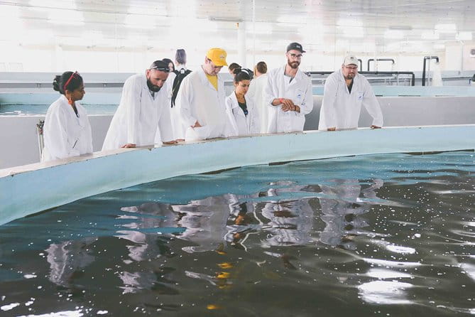 Black Caviar and Sparkling Wine Tour - Who Will Love This Tour?