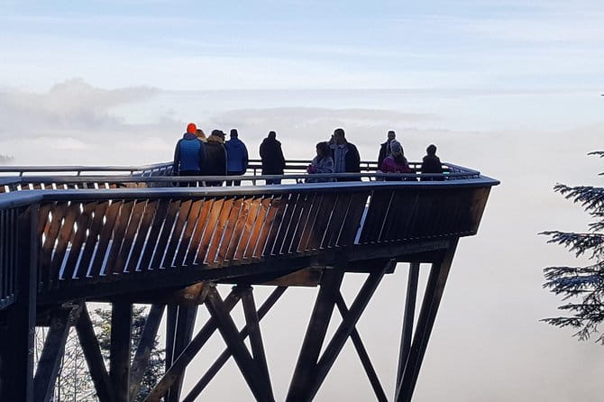 Black Forest Tour by car: Baden-Baden to Freiburg or vice versa - The Schwarzwald Hochstrasse and the Northern Black Forest