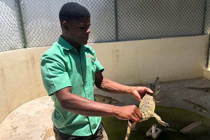 Black River Safari, YS Falls and Appleton Estate - Appleton Rum Estate