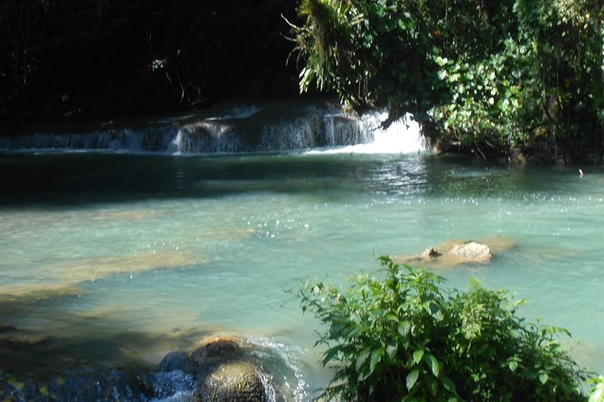 Black River Safari, YS Falls and Appleton Rum Tour With Lunch - Transportation and Accessibility