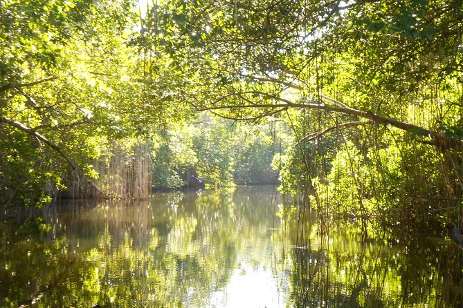 Black River Safari, YS Falls and Appleton Rum Tour With Lunch - Tour Schedule and Booking