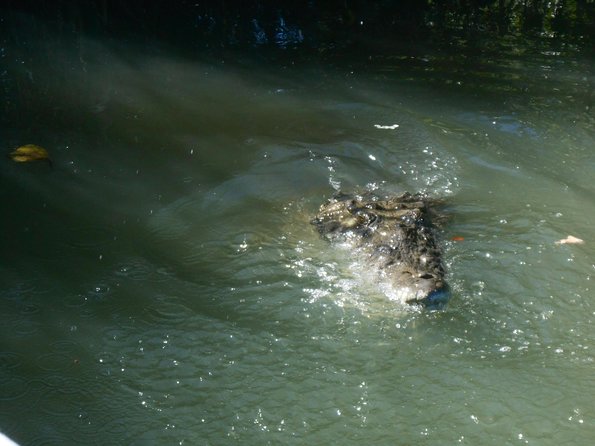 Black River Safari, YS Falls and Appleton Rum Tour With Lunch - Group Size Requirements