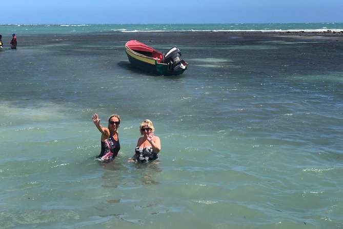 Black River Safari, YS Falls and Floyds Pelican Bar - YS Falls Experience