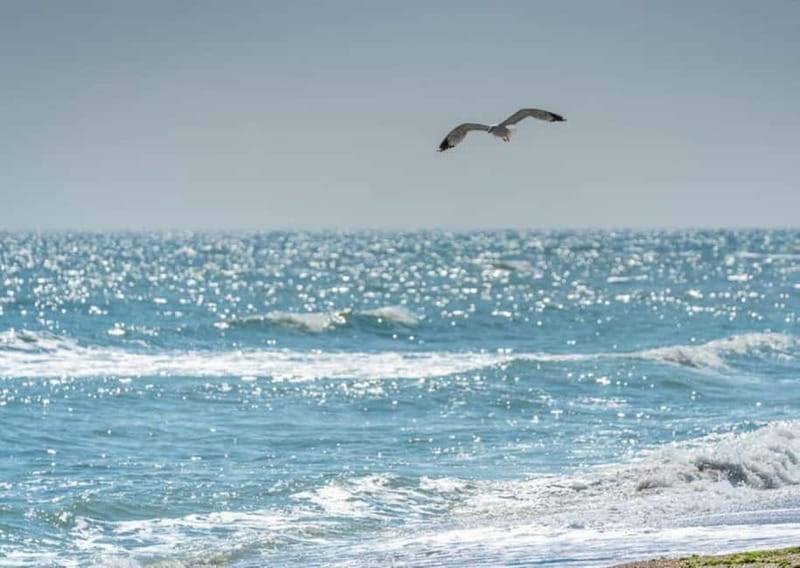 Black Sea from Bucharest, Small Group Tour, up to 7 - Key Points / Takeaways