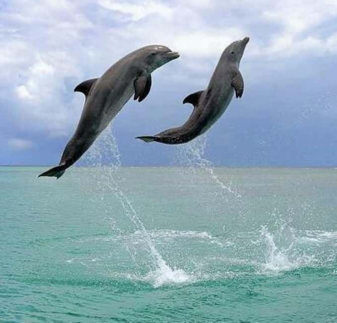 Black Sea from Bucharest, Small Group Tour, up to 7 - Exploring the Heart of Constanta: The Old Town and Tomis Port