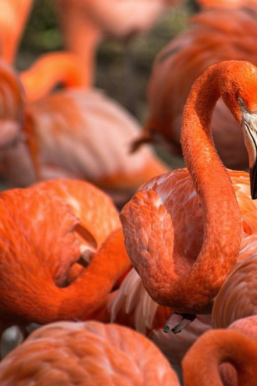 Blackpool: Zoo Admission Ticket - Key Points / Takeaways