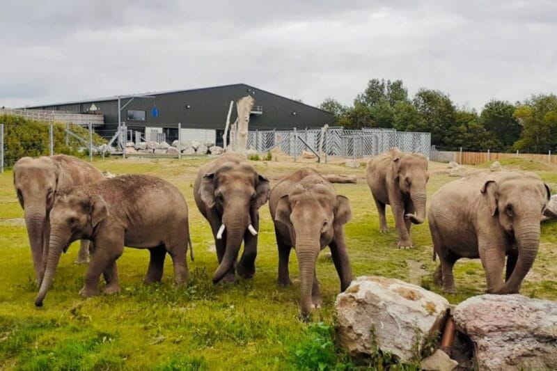 Blackpool: Zoo Admission Ticket - Animal Encounters: What You’ll See and Learn