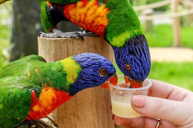 Blackpool: Zoo Admission Ticket - Learning and Activities: Making the Most of Your Visit