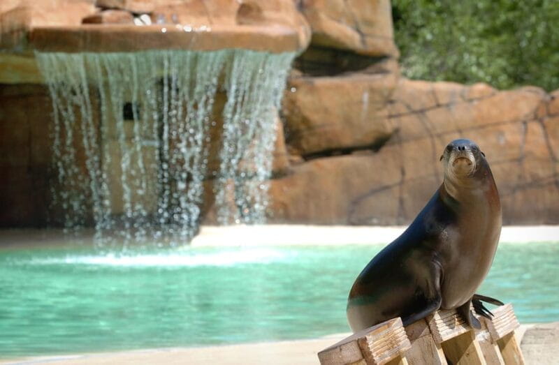 Blackpool: Zoo Admission Ticket - Value for Money: Is It Worth the Price?