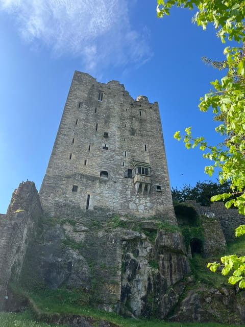 Blarney Castle and Cork City:Private taxi tour . - Price and Practical Considerations