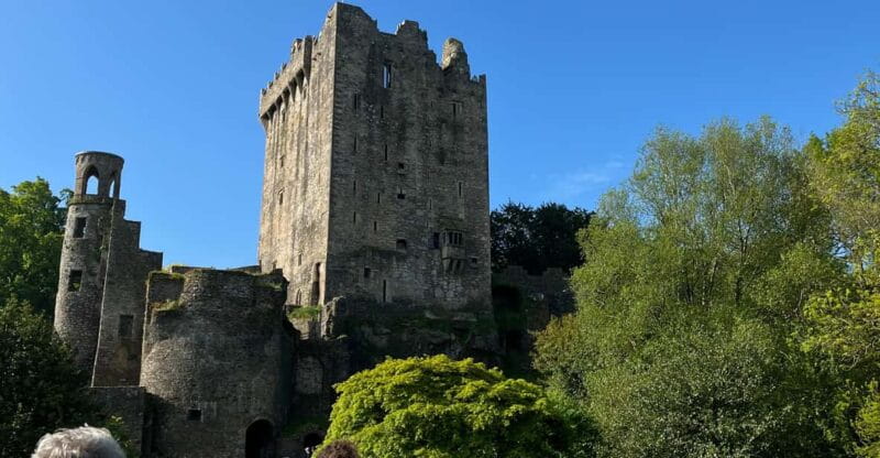 Blarney Castle and Cork City:Private taxi tour . - Who Will Love This Tour?