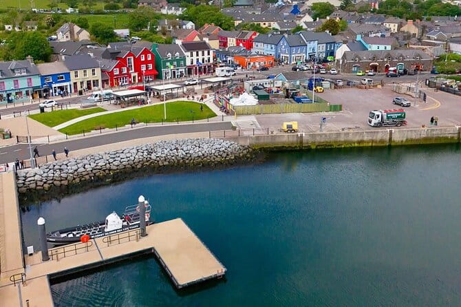 Blasket Island Sea Life Rib Tour, - Who Should Consider This Tour?