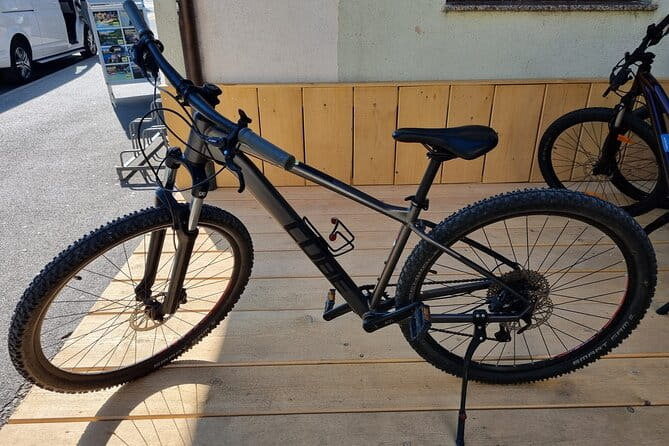 Bled Bike rental - Key Points / Takeaways